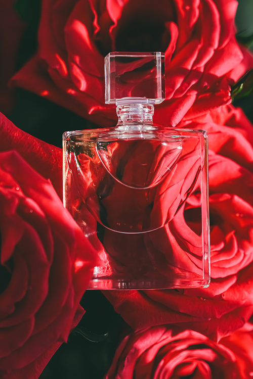 Floral fragrance or perfume and red roses, perfumery as luxury gift, beauty flatlay background and cosmetic product ad.