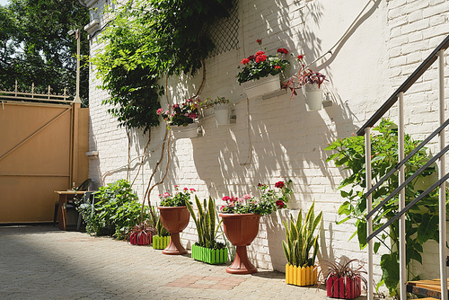 Colorfull floral street with white brick wall in Mediterranean town, potted plants outside. Sunny summer day