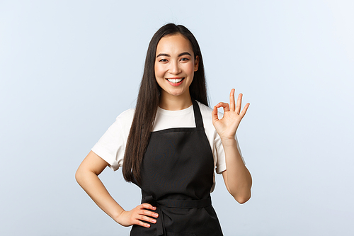 Coffee shop, small business and startup concept. Friendly charismatic asian barista show all good, okay sign and smiling. Cute waitress or cafe employee in black apron assure clients, make OK gesture.