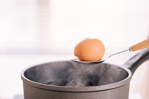 Chef putting boiled eggs in cup / Cooking sweet brown Stewed pork gravy (Moo Pa-lo) concept