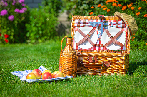 Picnic basket with food on green sunny lawn
