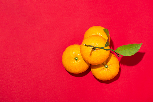 Orange for Lunar Chinese new year. Tet Holiday Concept.