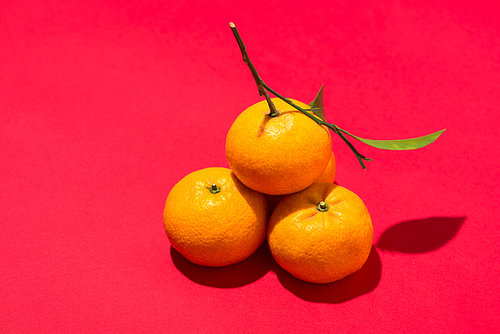 Orange for Lunar Chinese new year. Tet Holiday Concept.