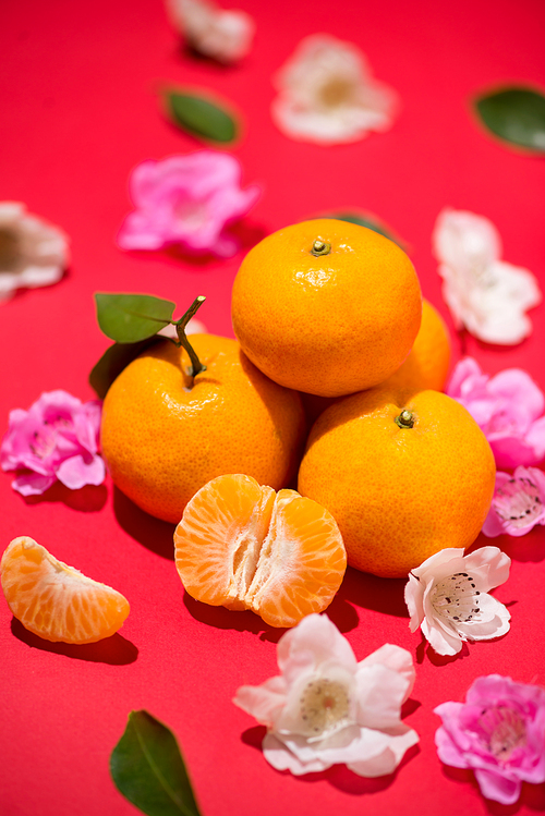 Chinese new year's decoration. Mandarin orange on red background.