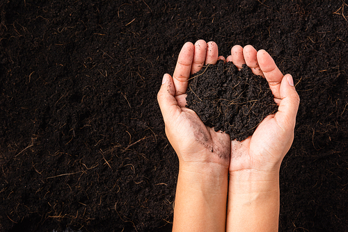 Top view of farmer woman hand holding compost fertile black soil background and copy space, Concept of Agriculture, gardening, Save World, Earth day and Hands ecology environment
