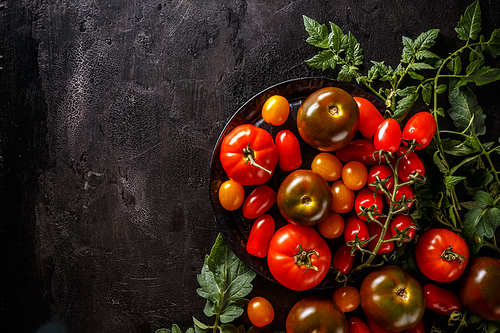 Composition of ripe tomatoes on grunge black background, space for your text