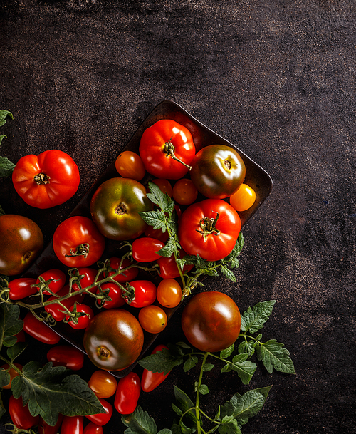 Fresh tomatoes on a black background with leaves