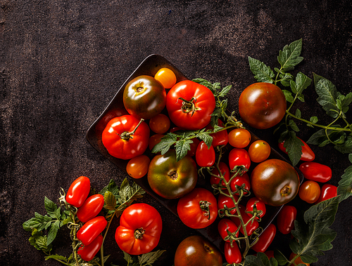 Close up of ripe tomatoes on black grunge background