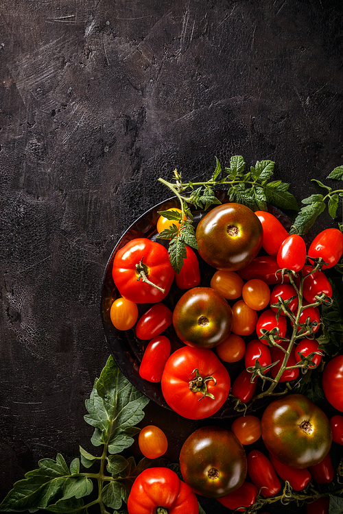 Ripe tomatoes on black grunge background