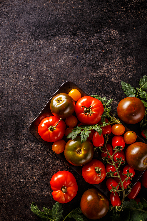 Varieties of colorful tomatos on black background
