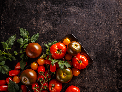 Still life of tomatoes and tomatoes green leaves on grunge black background