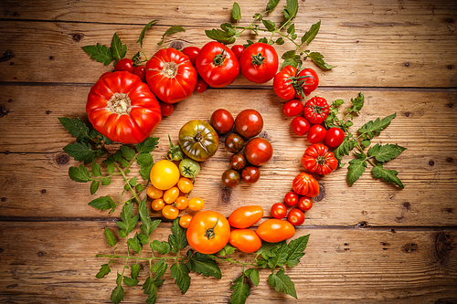 Healthy tomatoes arranged in spiral on old wooden background