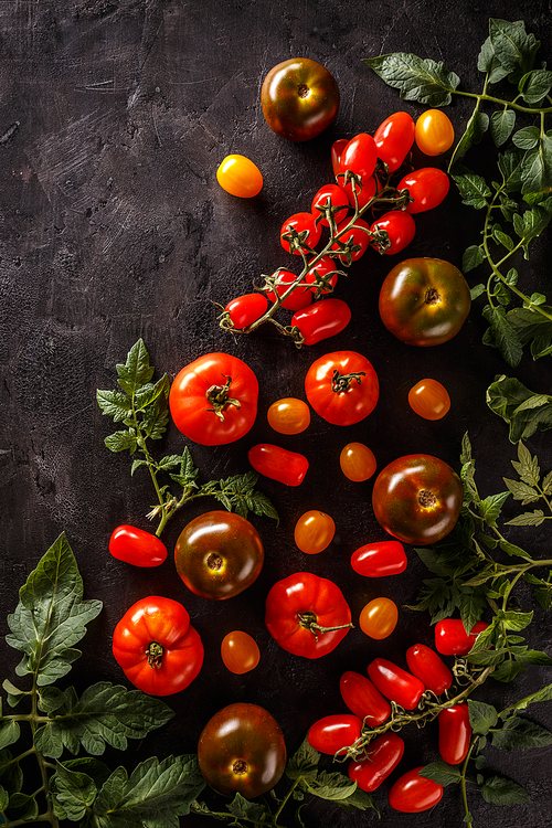 Fresh, ripe tomatoes on black background