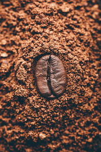 Fresh roasted coffee bean lays on heap of grinded coffee
