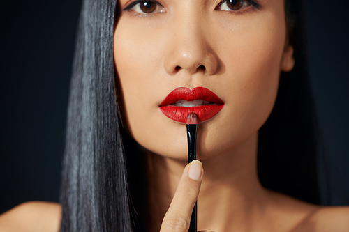 beautiful young woman face. Female applying lips makeup with cosmetic brush