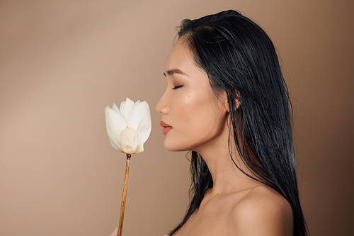 Beautiful girl with dried lotus buds. Beauty model woman face. Perfect skin.