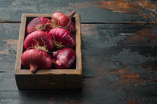 Purple Onion, on old dark  wooden table background  with copy space for text