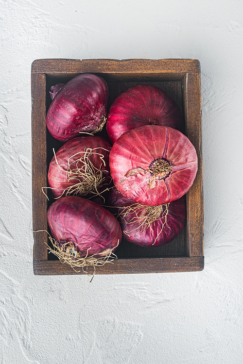 Fresh whole red onions, on white background
