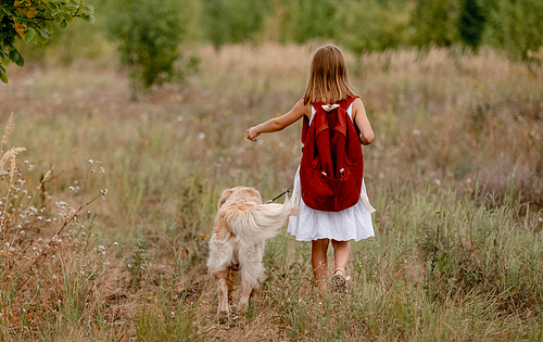Little girl with backpack walking with golden retriever dog in the field in summer day. Cute child kid with doggy pet on meadow