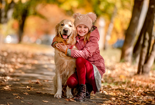 Preteen girl kid hugging golden retriever dog at autumn park with yellow leaves. Beautiful portrait of child and pet outdoors at nature