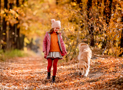 Pretty girl kid with golden retriever dog walking at yellow autumn park together. Child and pet doggy outdoors at nature in sunny day