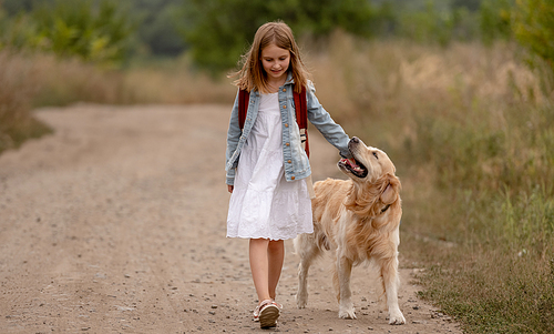 School girl with golden retriever dog walking in the field. Preteen child kid with doggy pet together in sunny day