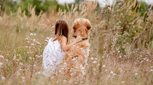 Little girl with golden retriever dog sitting in the field in summer day. Child with doggy pet portrait from back at nature