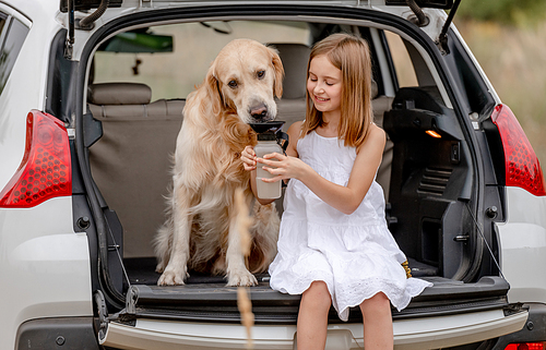 Pretty girl giving water golden retriever dog from bottle in car trunk. Cute child kid cares about doggy pet in vehicle