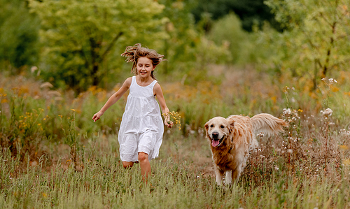 Little girl with golden retriever dog running at the field at summer. Cute preteen child kid with doggy pet at nature