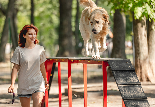 Teenager girl training golden retriever dog in the park. Female person with purebred pet labrador exercising outdoors
