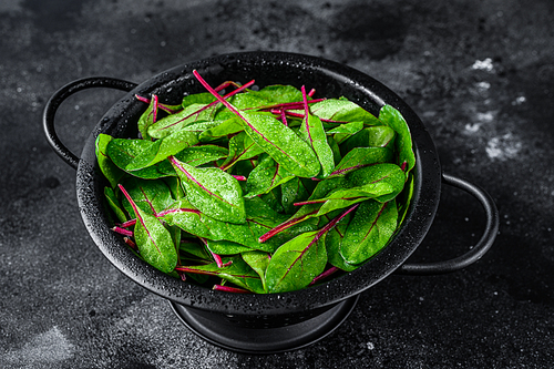 Fresh green chard mangold leaves in colander. Black background. Top view.