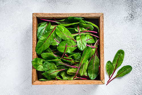 Raw Fresh green chard mangold leaves in a wooden box. White background. Top view.