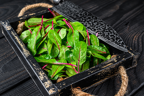 Raw chard leaves,  mangold, swiss chard in a wooden tray. Black Wooden background. Top view.