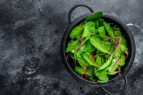 Fresh green chard mangold leaves in colander. Black background. Top view. Copy space.