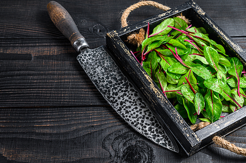 Raw chard leaves,  mangold, swiss chard in a wooden tray. Black Wooden background. Top view. Copy space.