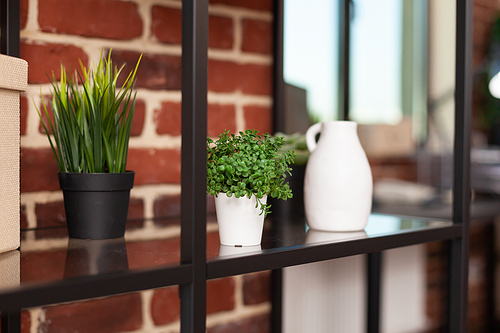 Close up of modern plants in pot and vase on bookshelf, decor in business office. Shelves with decorative houseplants and flowerpots for fresh environment. Natural potted decorations