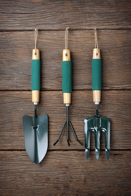 gardening tools hanging on wooden plank background