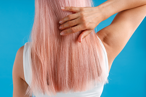 Close up shot of woman touching her smooth sleek natural long pink dyed hair while posing isolated over blue studio background. Beauty, hair care concept. Back view