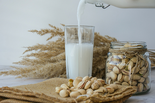 Vegetable milk is poured into a glass Pistachio lactose free milk for dietary nutrition. Alternative food and vegetarianism. Diet milk, vegetarian food. Gluten free. Nut non-dairy milk