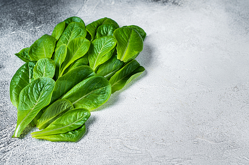 Raw leaves of romaine lettuce on kitchen table. White background. Top view. Copy space.