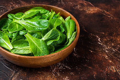 Young romain green salad leaves in wooden plate. Dark background. Top view. Copy space.