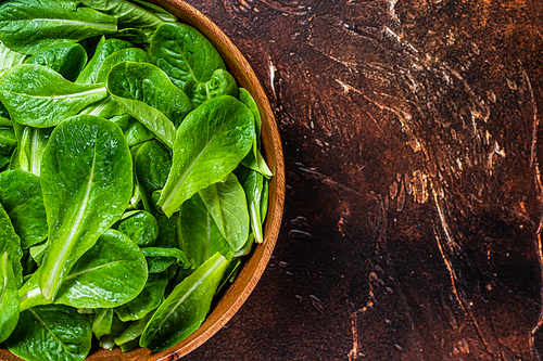 Young romain green salad leaves in wooden plate. Dark background. Top view. Copy space.