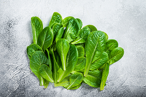 Raw leaves of romaine lettuce on kitchen table. White background. Top view.