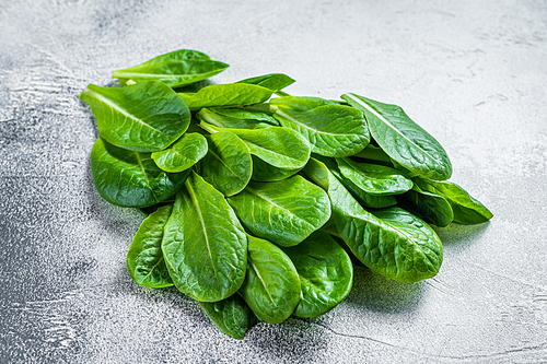 Raw leaves of romaine lettuce on kitchen table. White background. Top view.