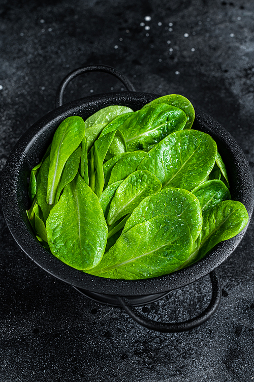Raw leaves of romaine lettuce in colander. Black background. Top view.