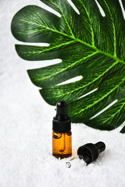 Dropper glass bottle skincare essential oil product for mock up in minimal style on white background with monstera leaf. Copy space. Blank aromatic oil container design, medical packaging template. Herbal cosmetic concept.