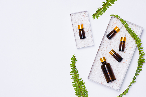 Branding mock-up. Natural essential oil. Natural beauty product concept.