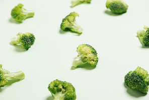 Modern style of the Broccoli isolated on green background.