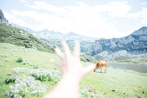 Moody wallpaper of an out of focus hand in front of a colorful landscape of the mountains of Asturias during a sunny day, Covadonga lakes, peaceful scenario, snowy mountains, copy space