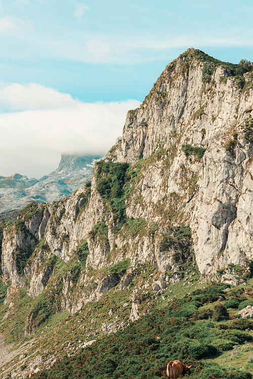 Idyllic mountain scenery in spain with blooming meadows in springtime, freedom , liberty and peace concepts